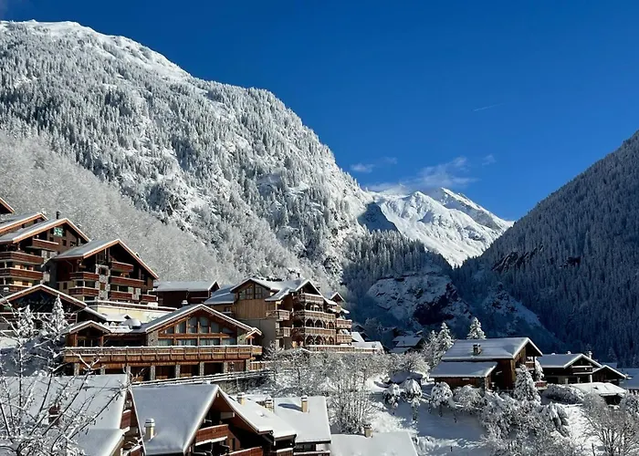 Roclisse -superbe A 5min Des Telecabines * La Plagne
